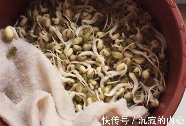 想吃豆芽不用买,教你自己在家种,4天一茬,随吃随种,特省事