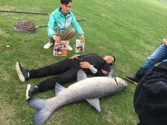 真的假的？男子称钓获“扁担长”草鱼王引争议，网友：怎么可能长这么大