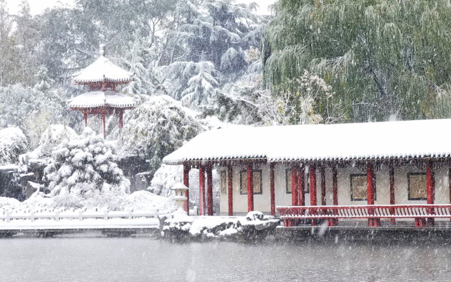 初雪中的济南南郊宾馆|镜头下 | 初雪