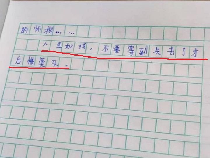 心情起伏的一天作文
