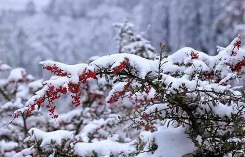 中年|春节自驾游重庆，这些线路不能错过！