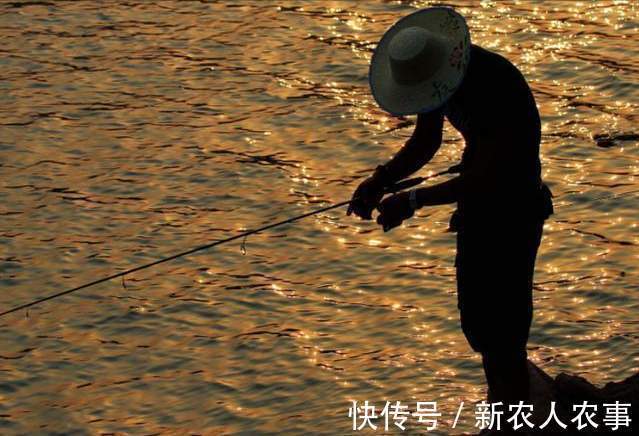 男子|湖北一男子冒着寒冷通宵夜钓,妻子发现鱼获不对劲,网友:别乱想