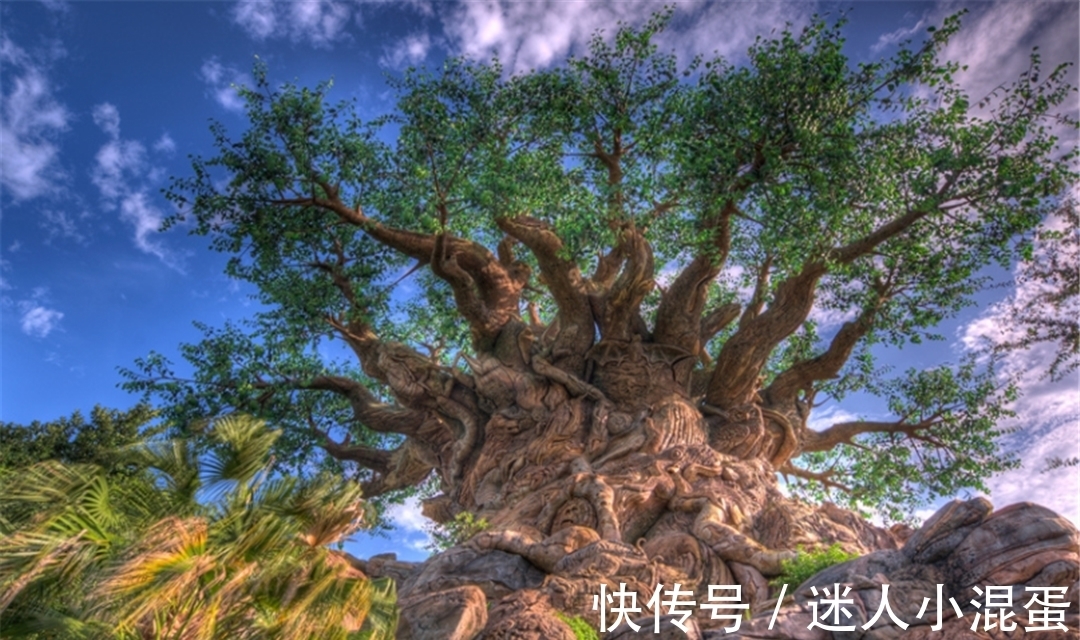 大树@《山海经》中刑天无头如何存活?刑天:只要有水,我就能活