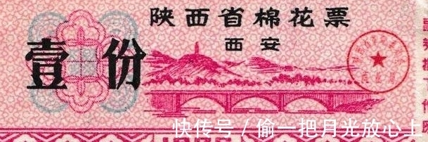 冷知识|20个冷知识，让人难以相信，原来真的有在空气就能存活的植物