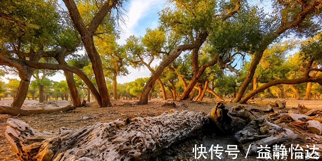 教主|颠覆性时刻！麒麟9000+徕卡电影五摄，价格贵有贵的道理