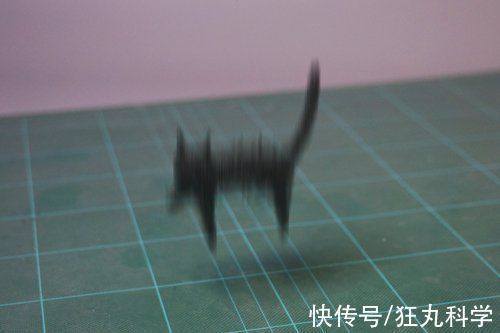 长颈狗|全球的猫都想屏蔽这个日本人,他到底做了多少沙雕手办?