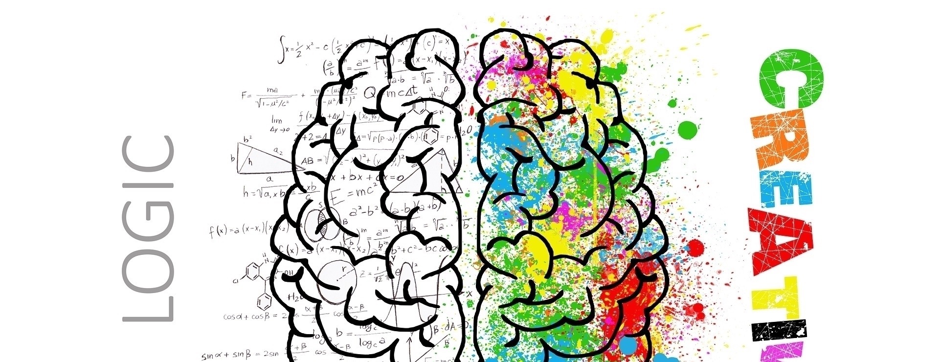 dh孩子总是学习差,父母错过孩子大脑发育黄金期,却逼孩子加倍努力