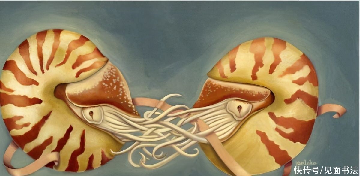  Lobo|「愙斋书法」Jen Lobo动物绘画作品