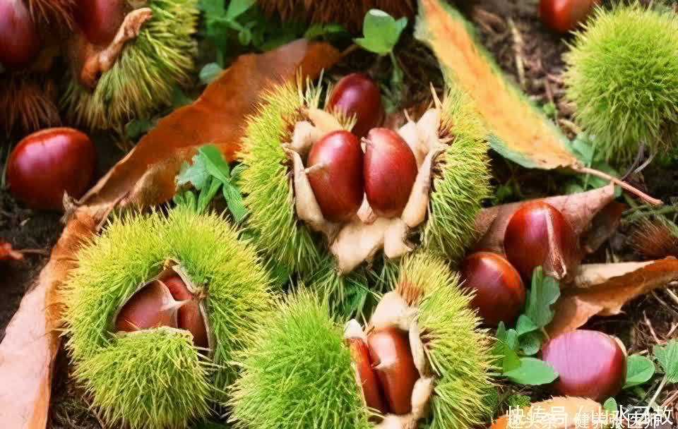 老太|女性不想老太快,多吃几种食物,排毒养颜,滋润皮肤,肌肤更白净