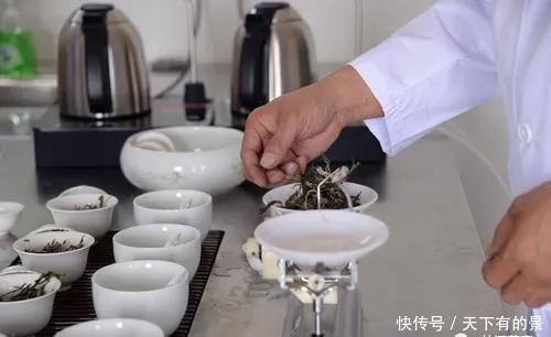 古树纯料|深度解析!纯料与拼配之争,哪个更好?