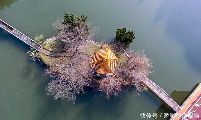 梦境|走进初冬的太子山，如同走进一场美丽的梦境