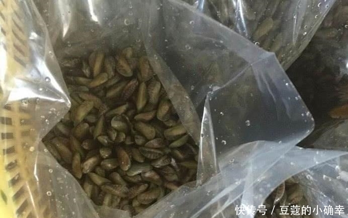 好吃|这种海鲜剥5斤才有1斤肉,比螃蟹还好吃,只有潮汕人才懂的美味