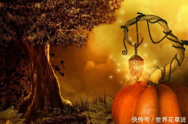 拍案叫绝的三本群像文,口碑炸裂,主角智商在线,一看就爱不释手