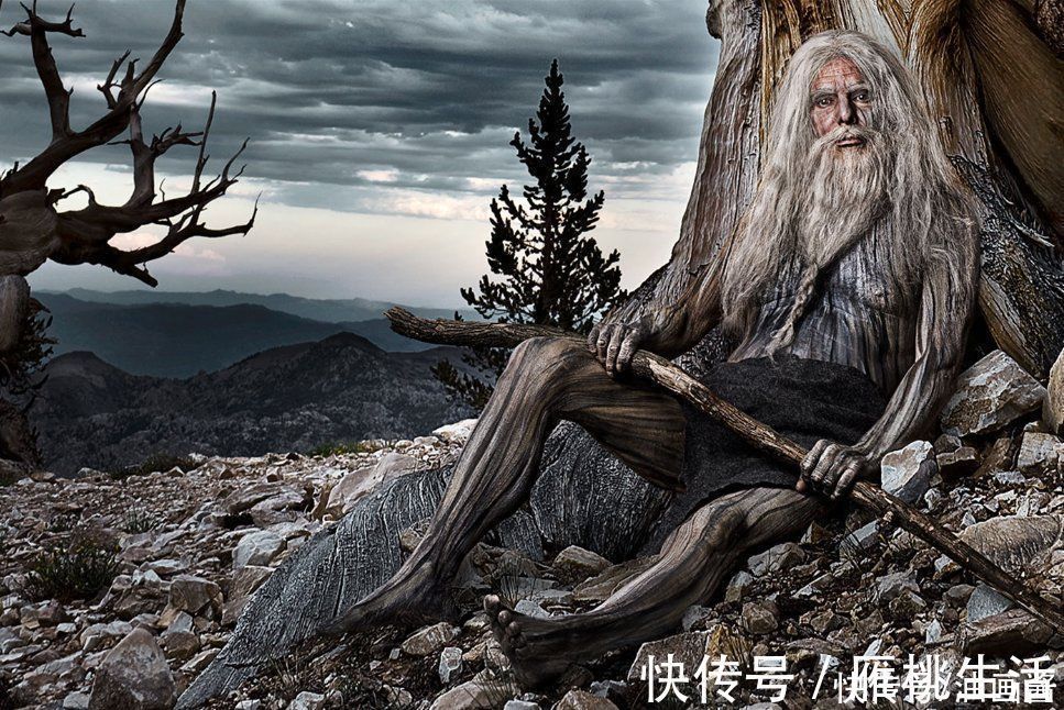 母女!这对母女人体彩绘搭档,又出新作品,这次她们把人都变成了树木