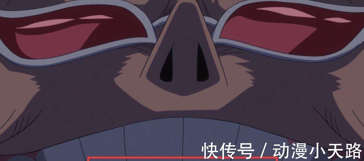 布鲁诺|海贼王:五老星派人去杀明哥,为何说其中必有CP9的布鲁诺?