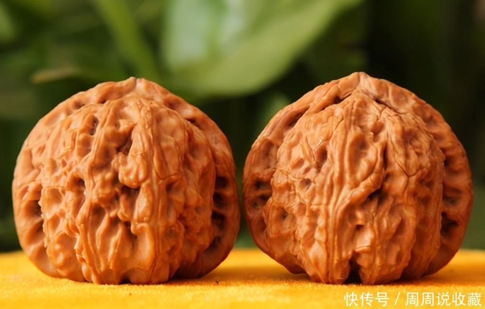 文玩|文玩核桃,白狮子品种盘玩过程小心先红后黑