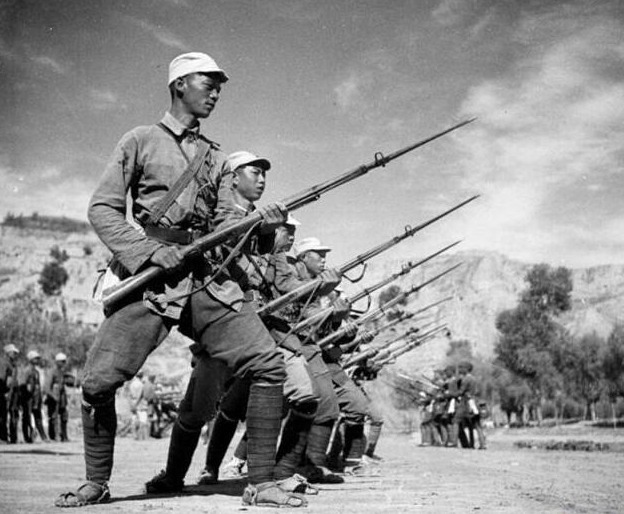 军鸽|抗日战场上最危险的动物,哪怕只有一颗子弹也要把它杀了,不是军犬