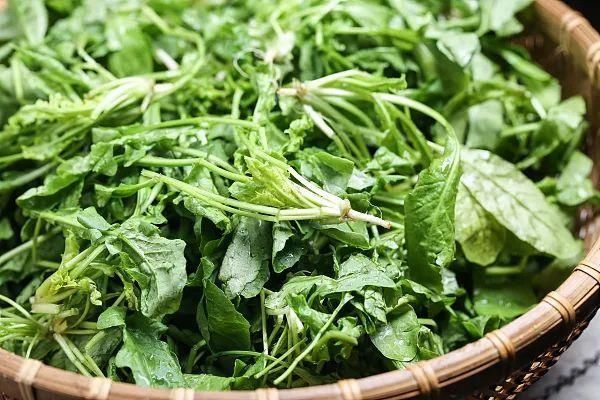 清明時節，你不知道的養生秘訣