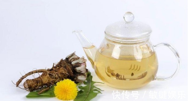 蒲公英水|高二女生,因一壶蒲公英水,被送入医院,蒲公英泡水,有4大禁忌