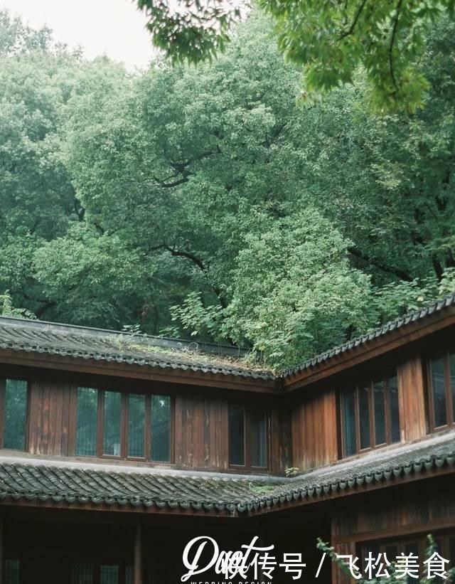 穿过这片森林，一起共赴人生美好，细雨中的户外婚礼