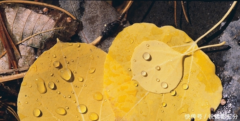 偶遇好诗词:远水接天浮,渺渺扁舟,载得古今多少恨,都付沙鸥!