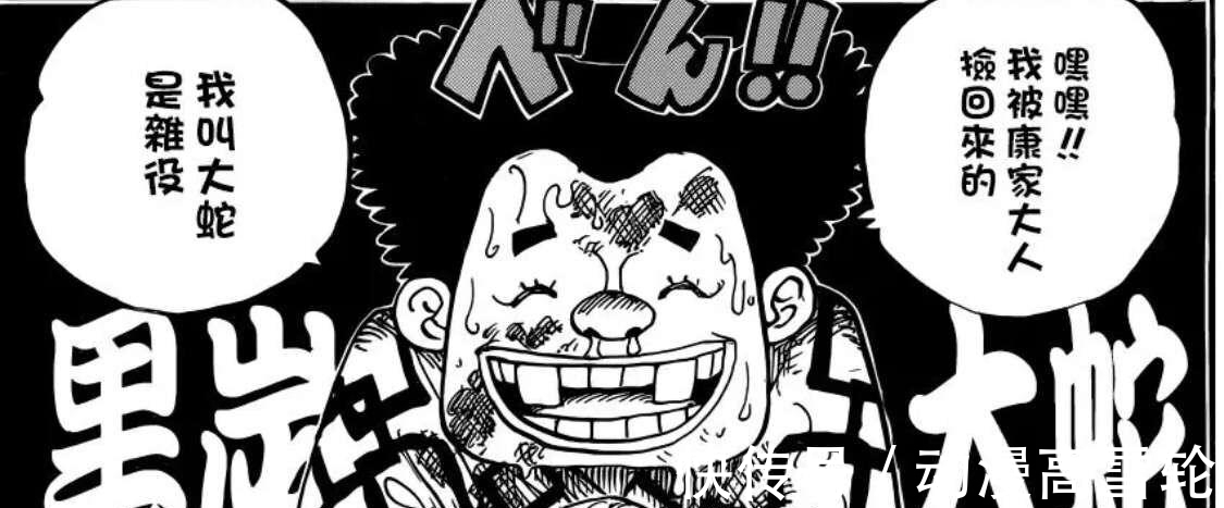 小菊|海贼王962情报:小菊男儿身又实锤,年轻大妈露脸,和女帝谁更美