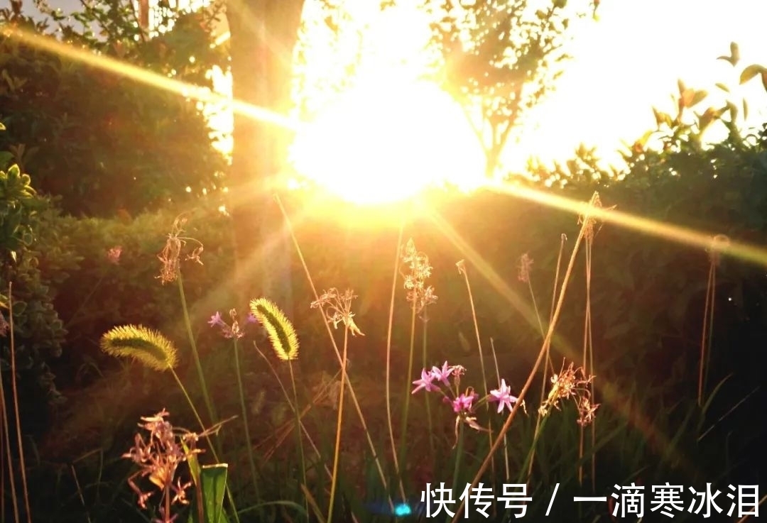 冬天$散文诗:致,冬天