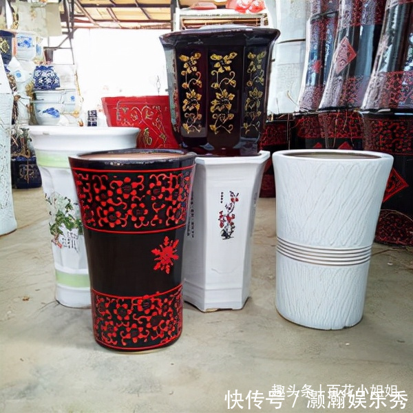 6种花盆,不适合养花,难怪长势不好,扔了吧