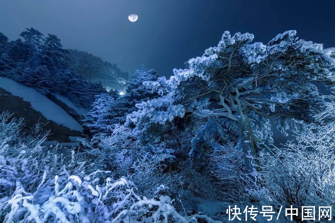 大雪：至此雪盛，愿君冬安|夜读 | 张岱