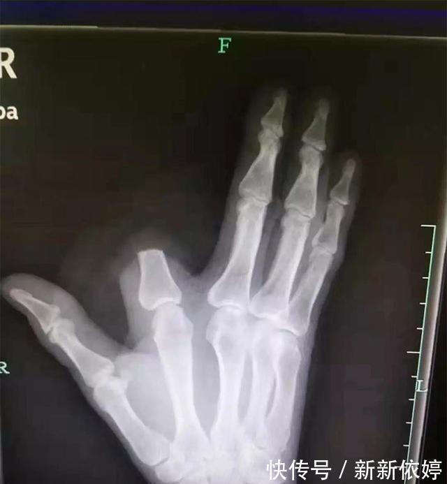 警告器|“沙雕网购的各种奇葩东西，这也太羞耻了吧…”哈哈哈哈哈！！