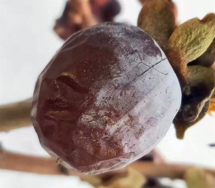 手软|山上的一种野果子，城里有钱也难买，浑身都是宝，碰上了就别手软