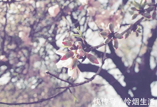 曲江春#刘禹锡的诗一向振奋人心,只有这首不一样,从开篇到结尾句句伤感