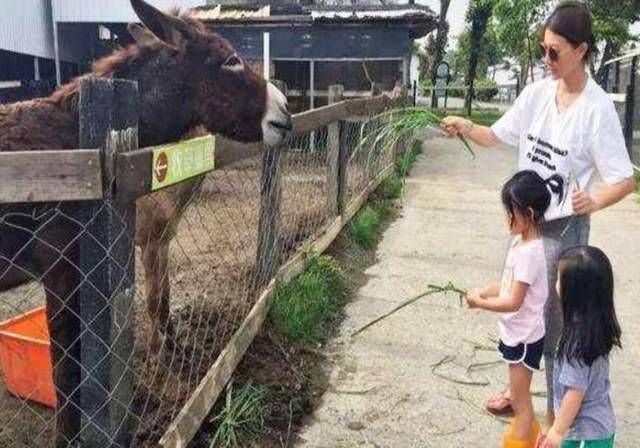 双胞胎|双胞胎美女姐妹，一个早生娃一个晚生娃，十年后，差距十分明显