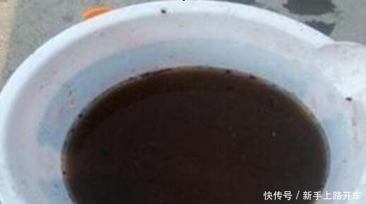 这些“肥料”遍地都是,不花钱捡回家,养花用一把,个个长爆盆!