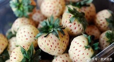 蜜柚|女性想要肌肤好,推荐多吃3物,排毒护肤,润肠通便,延缓衰老