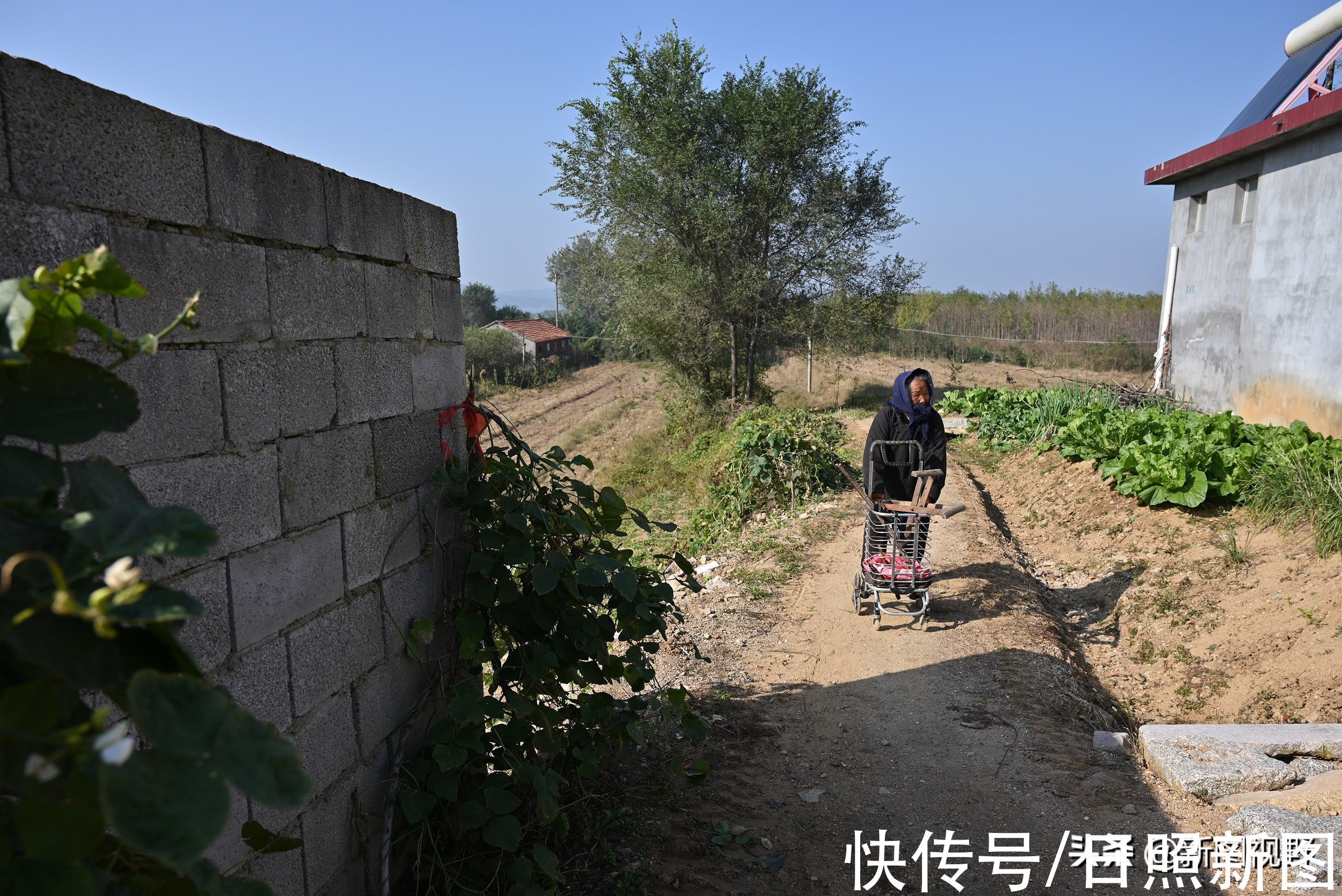 长寿|100岁奶奶,饭前习惯特殊,至今满头黑发,看长寿秘诀是啥
