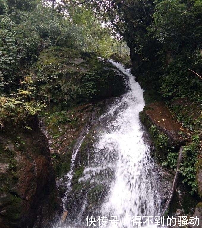 避暑|中国最美峡谷风景区-卧龙谷 最高的避暑休闲、清心养身的天然胜地