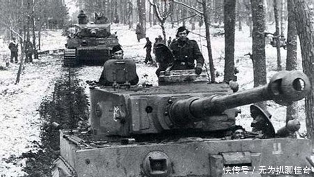 森林|二战德军最后的疯狂,阿登森林反击战,双方投入兵力超百万