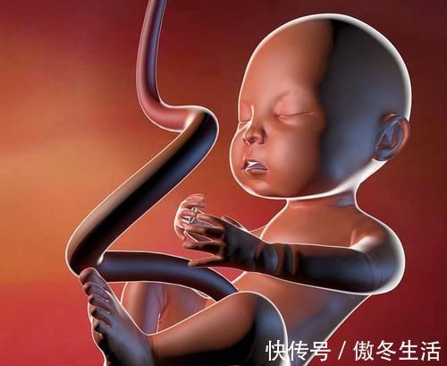 胎儿|胎儿什么时候长得最快？摸清他的生长的规律，孕妈只会更轻松
