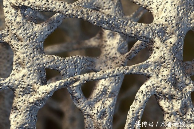 102岁老人，年轻像75岁，长寿秘诀不是多锻炼，而是这3件事