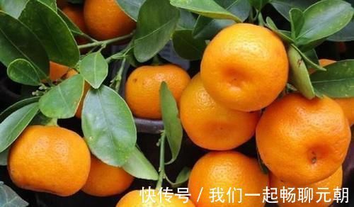 延缓衰老|每天不妨多吃3种食物,营养丰富、延缓衰老,好处多多!