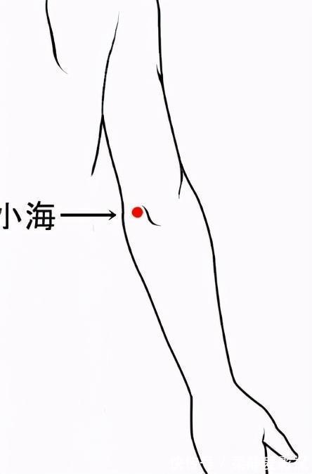 合穴|12合穴，为六腑打好基础，脏腑健康人才健康