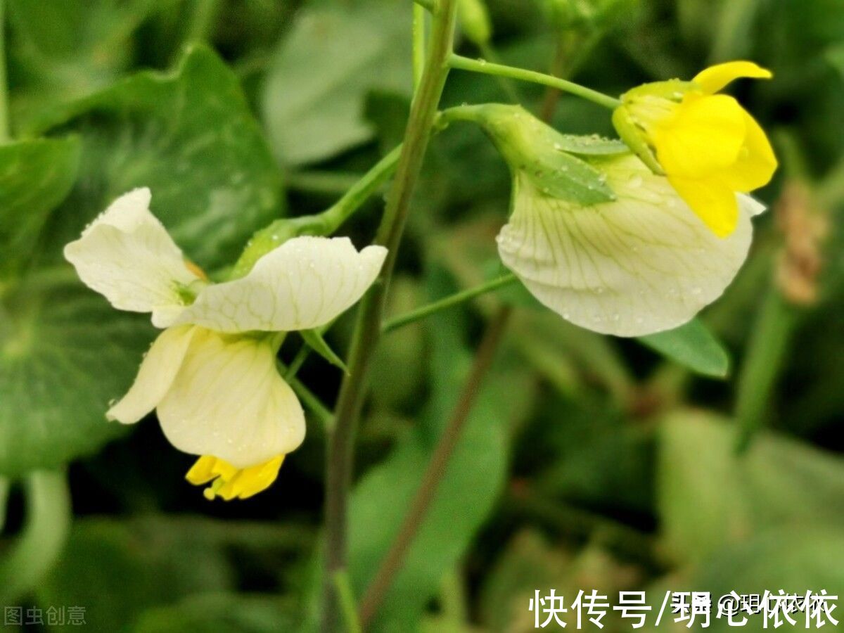 天蝎座|这些星座生命中充满桃花良缘，在美好春日邂逅心有灵犀的璀璨相遇