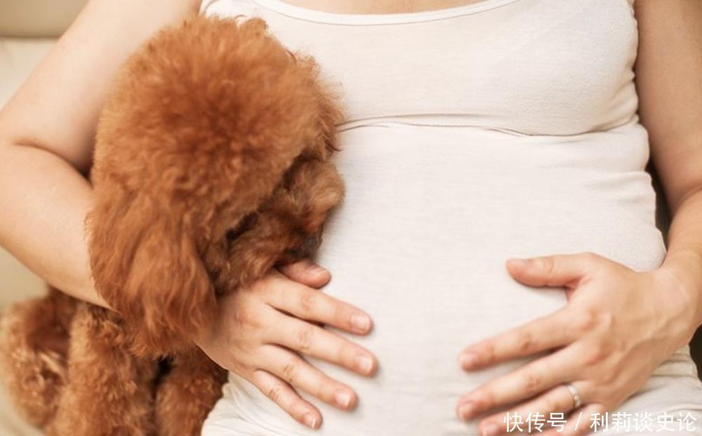 孕妇|和普通人相比，为何狗更喜欢扑孕妇？往往因为孕妈身上几种味道