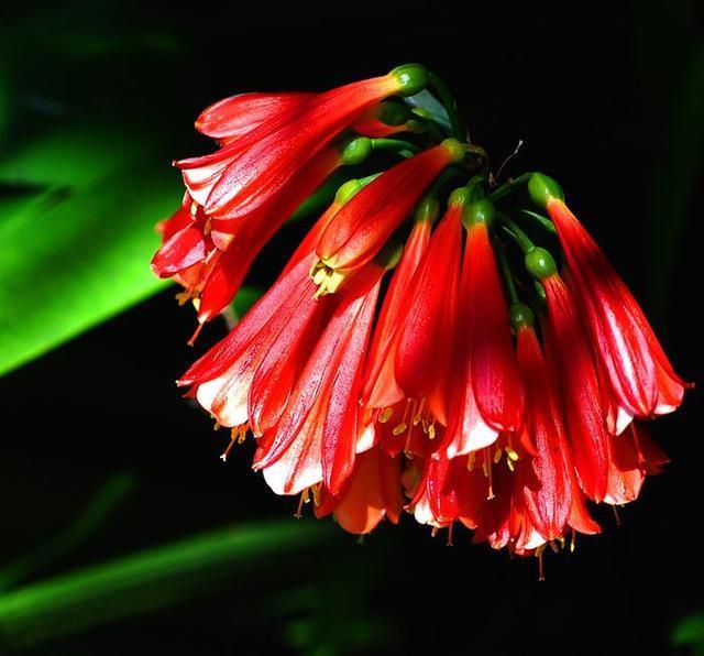 吵架|珍惜这几个星座男,吵架后会主动低头认错,只因他们太爱你