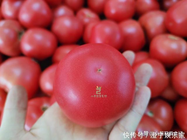 西红柿|买西红柿,挑圆的还是尖的?菜农:“这3种”可别买,都是催熟的