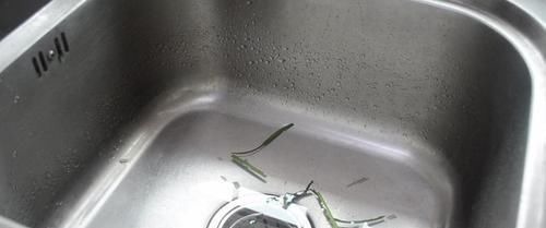 今天才知道，洗碗池上放个塑料瓶，有一个隐藏实用功能，太实用了