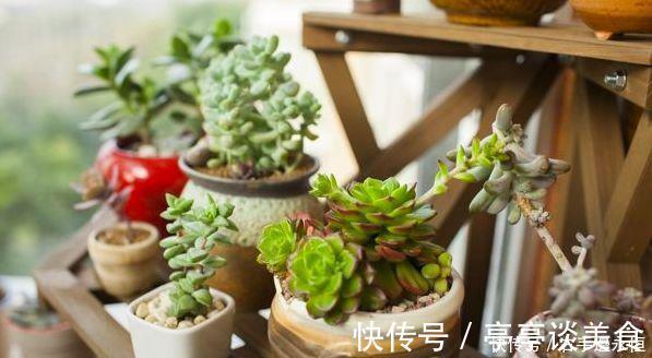 腐植酸|养花换下的土壤这样操作，就能无限循环