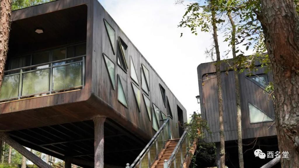 修树屋、帐篷酒店、无边泳池……金银山上在悄悄咪咪干大事