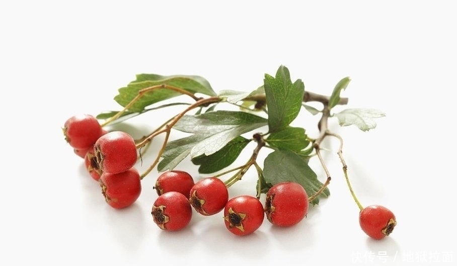 体重|山楂与它一起喝,被称为天然泻药,口臭没了,体重可能也轻了